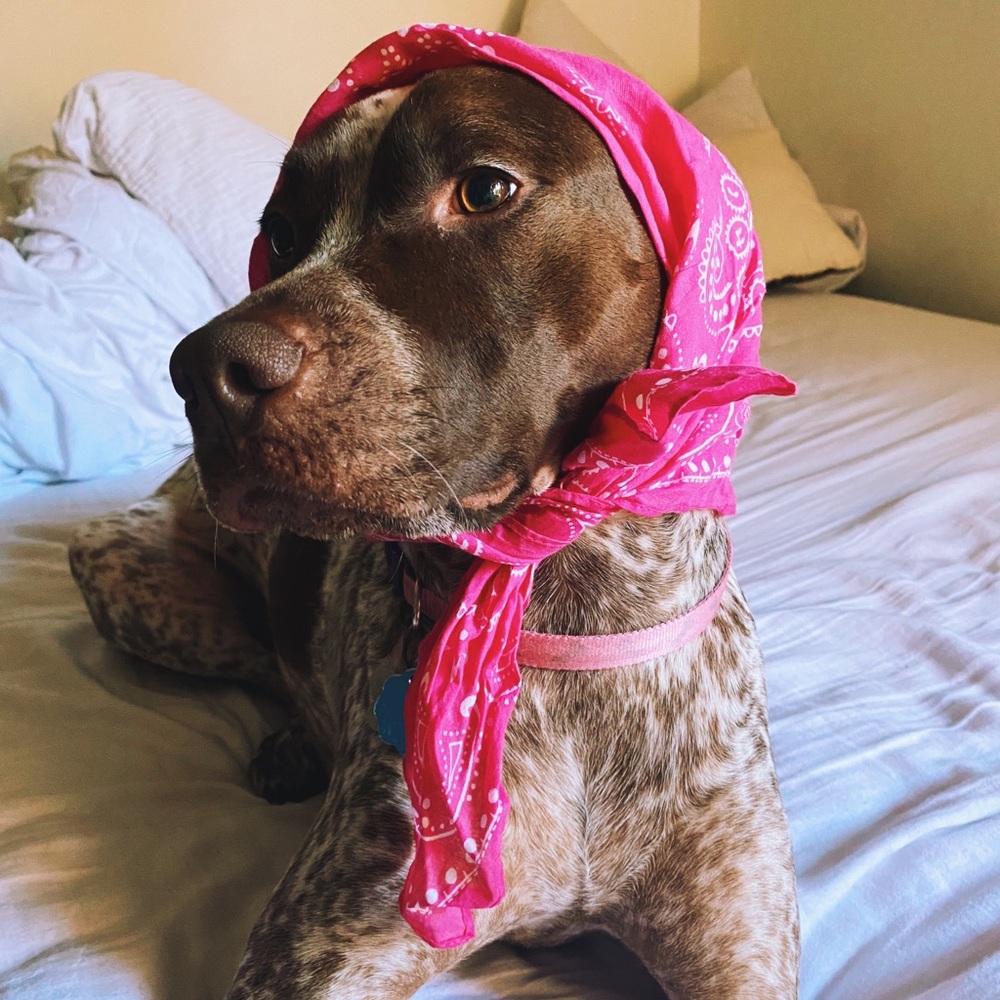 Paisley scarf